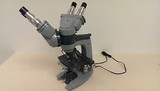 American Optical AO Spencer 1036A Dual View Teacher Microscope Teaching