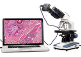 40X-2000X LED Binocular Digital Compound Microscope w 3D Stage and 1.3MP Camera
