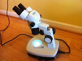 VanGuard Stereo Zoom Microscope with LED Illumination, 20X and 40X