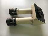 Olympus SZH Head for Dual Head Teaching Microscope with eyepieces GWH10X-CD