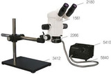 Stereo Zoom Binocular Microscope On Boom Stand Cold Light Source And Ring Fiber
