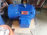 High Torque Induction Motor