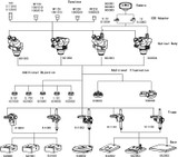 Professional Laboratory Microscope  XTL-1 Stereo Microscope