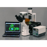 Amscope In300Tc-Fl Long Working Distance Inverted Fluorescence Trinocular Microscope, 40X-1000X, Wh10X And Wh25X Eyepieces, Phase-Contrast Objectives, 30W Halogen Illumination, 0.3 Na Abbe Condenser, Mechanical Stage, 110V