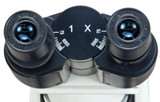 OMAX 40X-1600X Phase Contrast Siedentopf 1.3MP Digital Plan Microscope