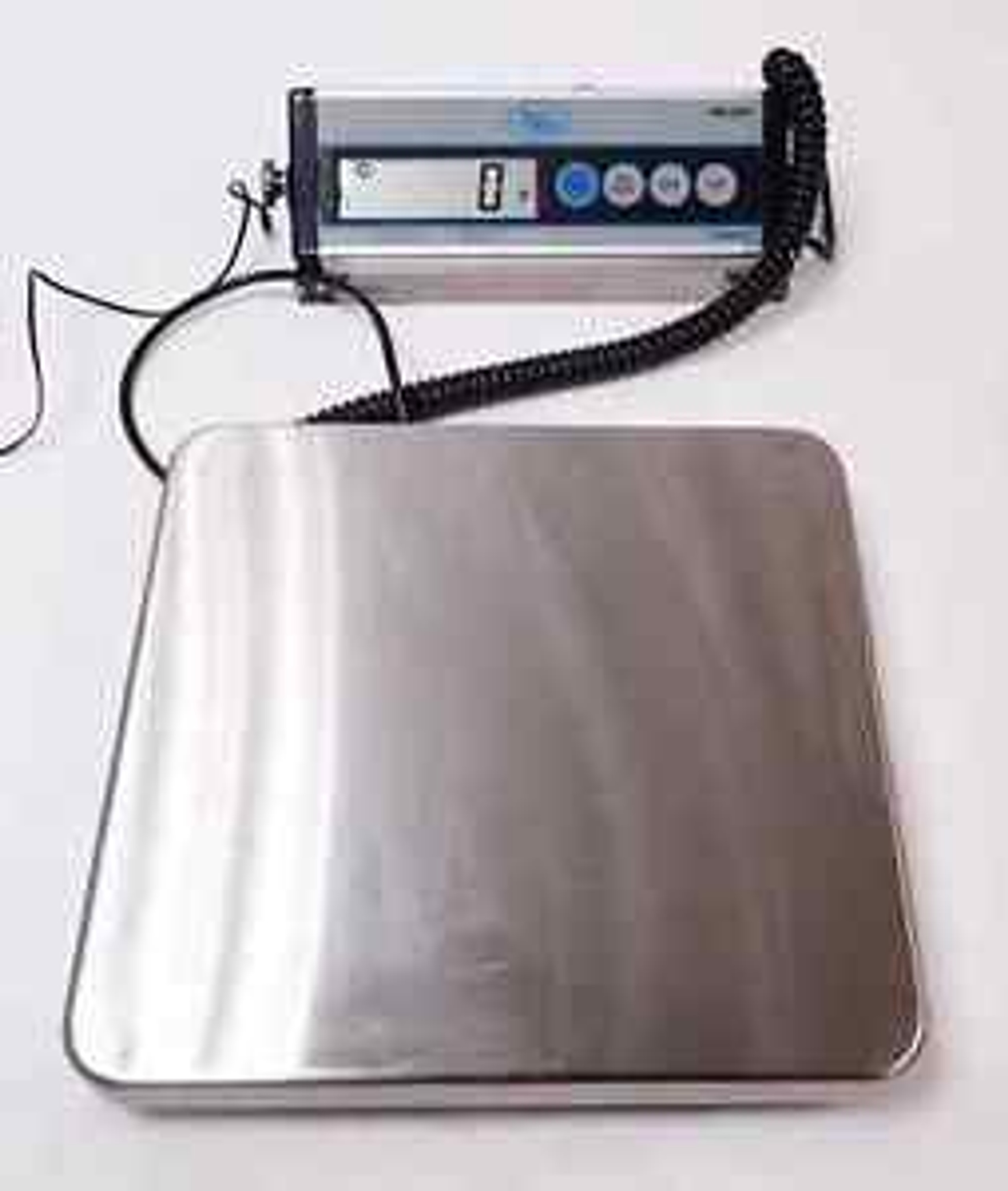Buy YAMATO ACCUWEIGH PB200 PORTION CONTROL SCALE
