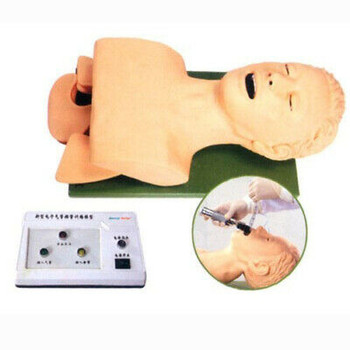 Airway Intubation Models