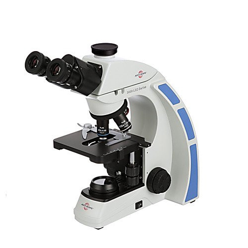 ACCU-Scope 3000-LED-40 Binocular Microscope, 4/10/40x Oil Infinity Plan Achromat Objectives, 3W LED Illumination, 120V