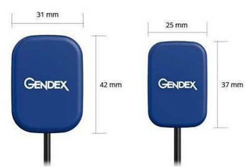 Gendex Sensor Gxs-700 Dental Digital Radio Graphic X-Ray Rvg Size 2