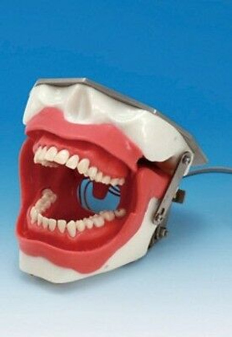 DENTAL ORAL ANESTHESIA SIMULATOR MANIKIN BRAND NEW NOT USED CAN PROVIDE QUANTITY