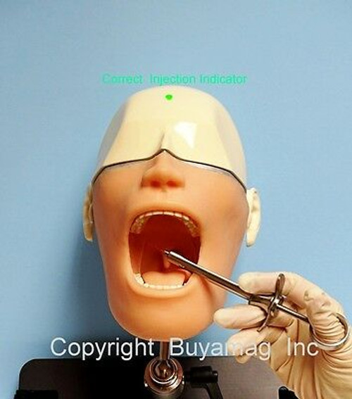 DENTAL ORAL ANESTHESIA SIMULATOR SMART MANIKIN BRAND NEW for Dental Schools