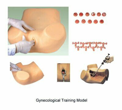 Gynecological Examination Simulator