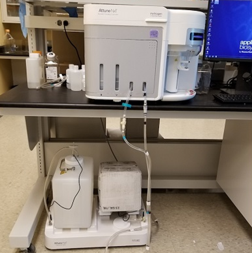 Thermo Attune NxT Flow Cytometer