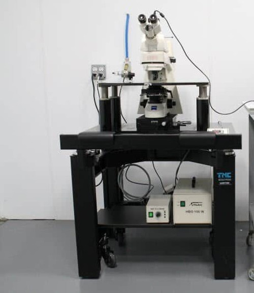 Zeiss Axioskop 2 FS Fluorescence Phase Contrast Microscope w/ TMC Antivibration