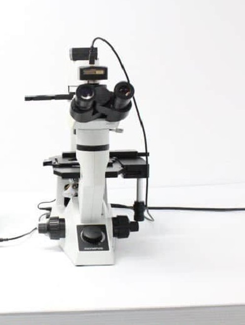 Olympus CKX41 Inverted Phase Contrast Microscope