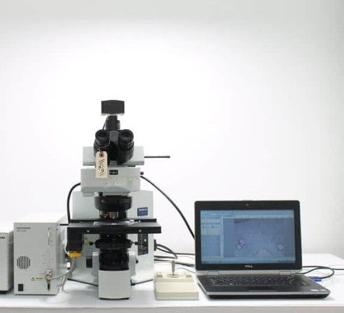Olympus BX61 Fluorescence Motorized Phase Contrast Microscope