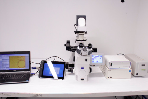 Zeiss Axio Observer Inverted Fluorescence Phase Contrast Motorized Microscope