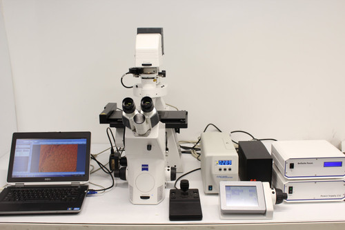 Zeiss Axio Observer.Z1 Fluorescence Motorized Microscope w/ Definite Focus