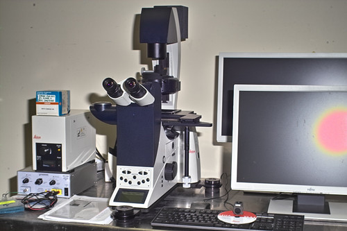 LEICA MICROSCOPE INVERTED DMI-6000B LED EPI-FLUORESCENCE WITH PHASE AND DIC - DIGITAL