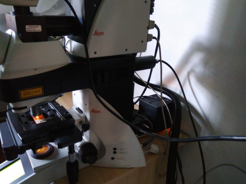 Leica DM 5500 Q Confocal Spectral Detector TCS SPE Laser Scanning Microscope
