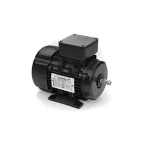 Marathon Motors Metric Motor, R300, 63T34FH5301, 1/4-.18HP, 3600RPM, 230/460V, 3PH, 63 FR, TEFC