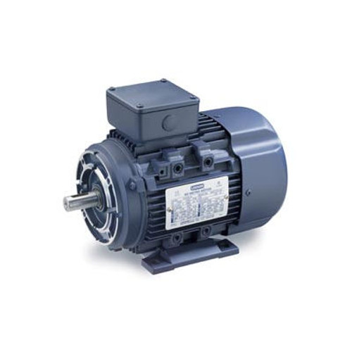 Leeson Motors Motor Iec Metric Motor-.25Hp, 575V, 1700Rpm, Ip55, B3/B14, 1.15 Sf, 68 Eff.