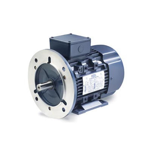 Leeson Motors Motor IEC Metric Motor-20HP, 230/460V, 1180/980RPM, IP55, B3/B5, 1.15 SF, 90.2 Eff.