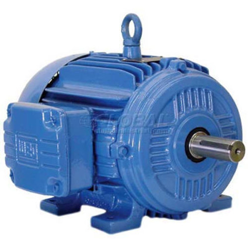 Weg Cooling Tower Motor, 02589Ep3Hct286V, 25/6.3 Hp, 1800/900 Rpm, 575 Volts, 3 Phase, Tefc