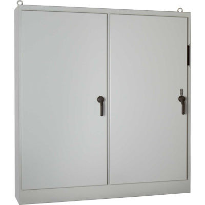Hoffman A90XM4024FTC, Heavy Duty Fs Disc. Encl, W/Panel, 1 Door, 90.12X40.25X24.12, Paint
