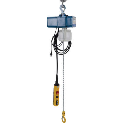 Variable Speed Electric Chain Hoist 250 Lb. Capacity
