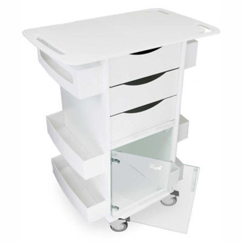 TrippNT-Core DX Lab Cart with Extended 29" Top and Clear Hinged Door, 29"W x 19"D x 35"H