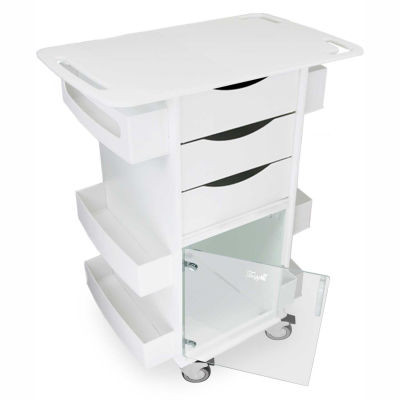 TrippNT-Core DX Lab Cart with Extended 29" Top and Clear Hinged Door, 29"W x 19"D x 35"H