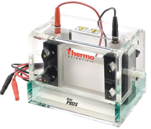 Thermo Scientific OWL P8DS Dual-Gel Vertical Electrophoresis System