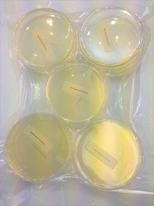 Sabouraud Dextrose Agar (SDA), (10-Pack), Pre-Poured, Flat-Packed, Vacuum Sealed, 15x100mm Petri Plates, for The Cultivation, Isolation and Identification of Yeasts and Molds.