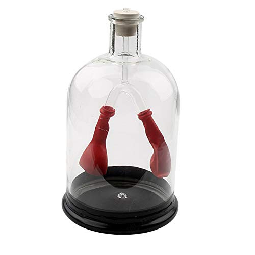 TTSUAI Diaphragm Exercise Simulator Middle School Biological Experiment Equipment Model Junior High School Teaching Instrument