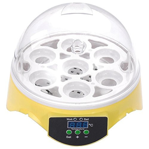 X-Treat Heating & Cooling Equipment Mini 7 Egg Hatchery Incubators & Accessories Built-in Fan Chicken Poultry Bird Brooder Digital Temperature Clear LED