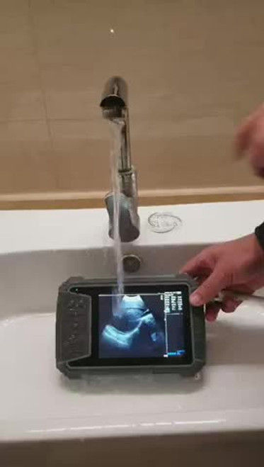 P6 Waterproof Veterinary Ultrasound Scanner