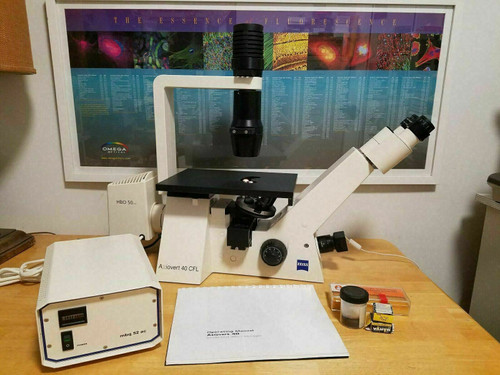 Zeiss Axiovert 40 Cfl Inverted Fluorescent Phase Contrast Microscope 4  Lenses