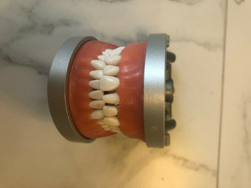 Complete Endo And Prosth Dental Set