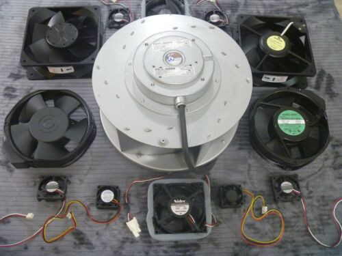 New    R200 860  Major Manufacturer  Fan Shed  Lulu