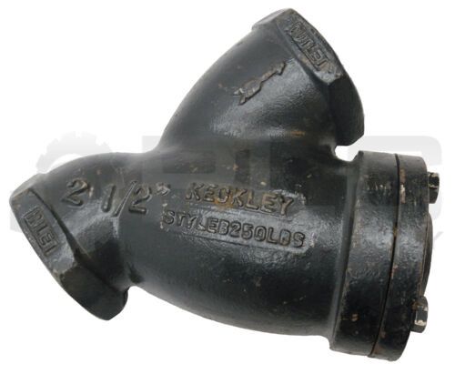 New Keckley Style B 2 1/2" Thread Cast Iron Y-Strainer 76000 Read