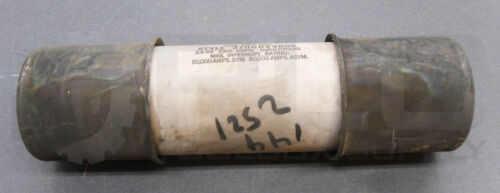 New Westinghouse 310C095G05 Fuse Cle-1 2.4Kv 100E A 50/60Hz Read