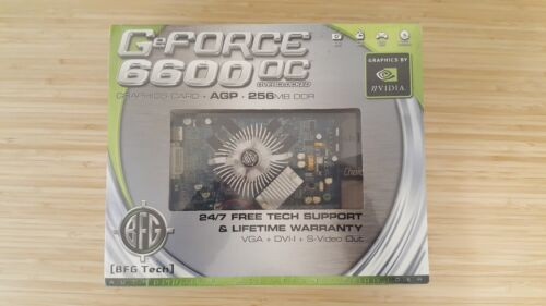 Bfg Nvidia Geforce 6600Oc 256Mb Ddr, Agp Graphics Card