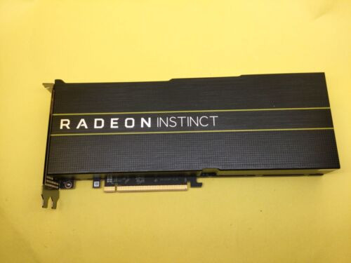 Amd Radeon Instinct Mi50 Accelerator 16Gb Hbm2 Pcie 4.0 X16 Graphics Card