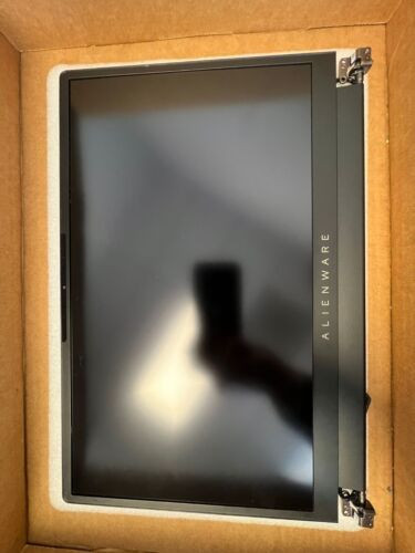 Vjyj1 Dell Alienware X15 R1 240Hz 2K 15.6" Wqhd Lcd Screen Cgdy2 Ab