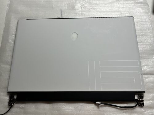 Genuine Alienware M15 R3 300Hz Fhd Complete Nontouch Lcd Assembly Dell 9H2Cc 04