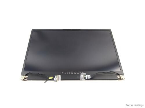 Dell 17.3-Inch Non-Touch Full Hd Lcd Screen Assembly For Alienware X17 R1 1Y65F