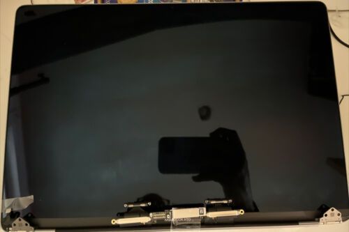 Genuine Oem Apple Macbook Pro 16" Lcd Screen Display Gray A2141 2019 B- Grade