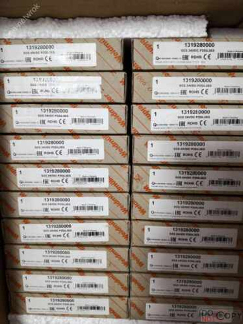 1Pc For  New   1319280000 Scs 24Vdc P2Sil3Es