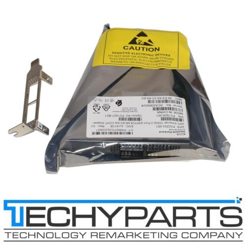 Hpe P21927-B21 Mcx516A-Ccht 2-Port 100Gbe Qsfp28 Nic P22203-001 P21929-001 Nob